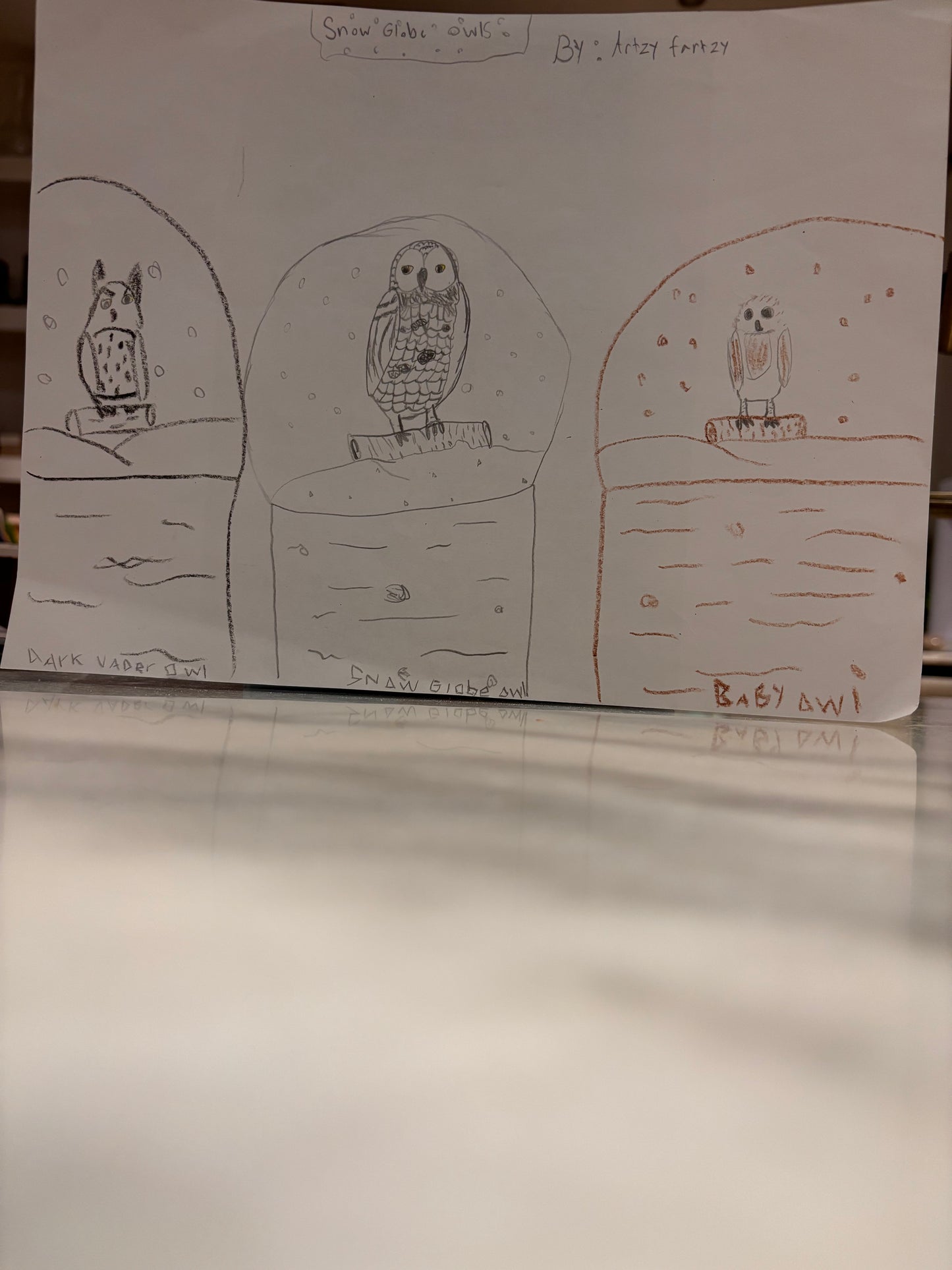 Snow globe owl group